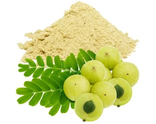Amla Powder